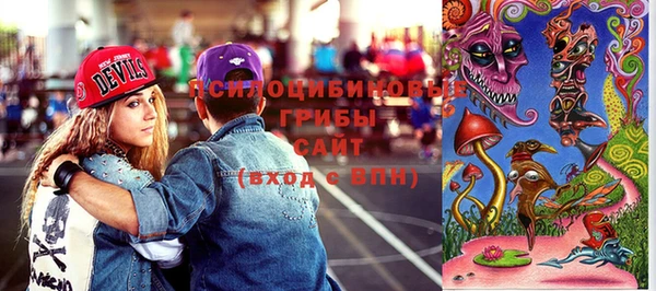 бошки Верхний Тагил