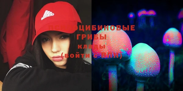 jwh Саяногорск