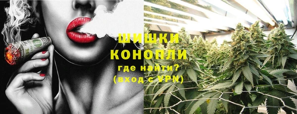 стаф Сатка